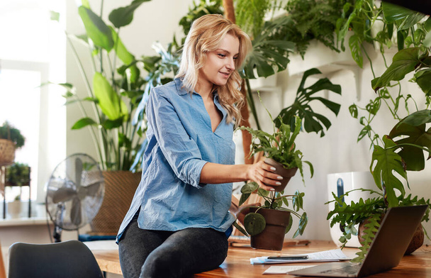 Employeuse avec des plantes d'intérieur et un ordinateur portable assis sur une table - Photo, image