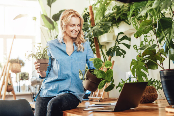 Nainen työnantaja huonekasvit ja kannettava tietokone istuu pöydällä - Valokuva, kuva