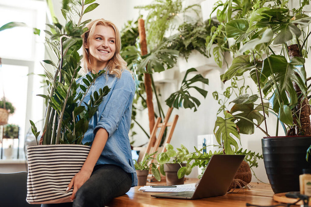 Empresaria ecológica amueblando su lugar de trabajo con planta de interior - Foto, imagen