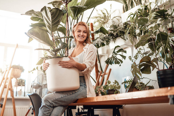 Business happy woman furnishing her workplace indoors sunny office - Fotografie, Obrázek