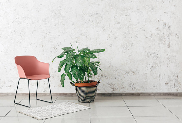 Современное кресло с домашним растением возле светлой стены в комнате - Фото, изображение