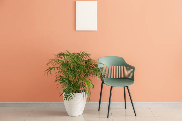 Chair and houseplant in interior of modern room - Фото, зображення