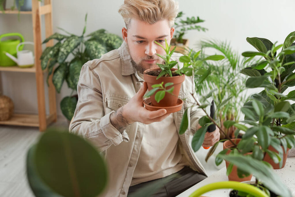 Młody człowiek zajmujący się roślinami w domu - Zdjęcie, obraz