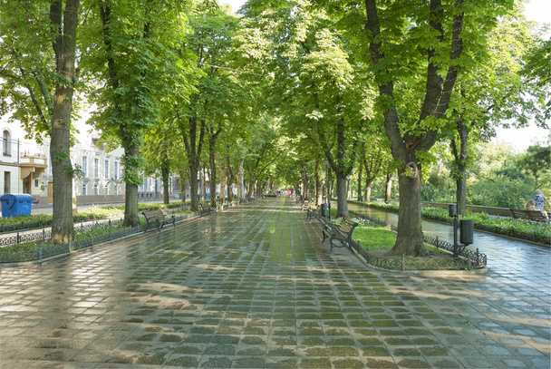 Primorskiy Boulevard en Odessa, Ucrania
. - Foto, imagen