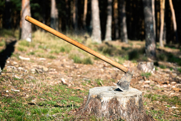 A closeup of an ax stuck in a log in the forest - Fotografie, Obrázek