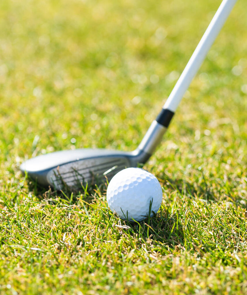 A closeup shot of a golf ball and club on a golf course - Foto, imagen