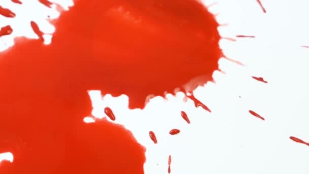 gotas de sangre roja aisladas sobre fondo blanco. Gotas de sangre y salpicaduras. Puede ser utilizado en el diseño de Halloween, médico, salud - Imágenes, Vídeo