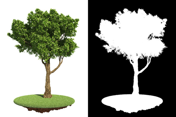 Parks grüner Baum mit Detail-Rastermaske. - Foto, Bild