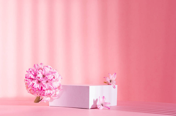 Elegant spring showcase with white square podium for display cosmetic and goods in sunlight, striped shadows with tender hyacinth flowers on pink background, copy space. - Foto, Imagem