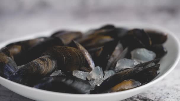 Shellfish raw mussels in ceramic white bowl, placed on stone gray background - Footage, Video