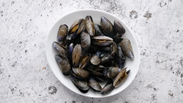 Fresh and raw sea mussels in white ceramic bowl on stone background - Footage, Video
