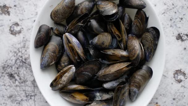 Top view of shellfish raw mussels in ceramic white bowl, placed on stone - Footage, Video