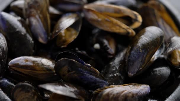 Close up shot of fresh and raw sea mussels in black ceramic bowl placed on dark - Footage, Video