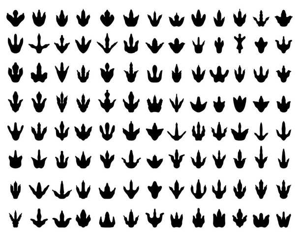 Black footprints of dinosaurs on a white background - Vector, Image