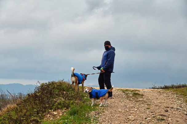  homem de máscara protetora, andando com dois cães vestindo casacos azuis em um dia chuvoso de inverno durante o bloqueio da pandemia COVID-19                               - Foto, Imagem