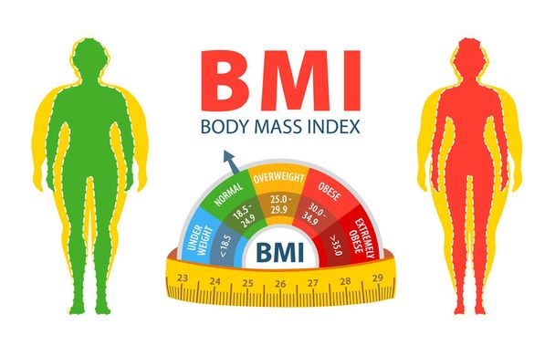 Ztráta váhy. Vliv stravy na hmotnost osoby. BMI. Body mass index Muž a žena před a po dietě a fitness. Tlustý a hubený muž a žena.  - Vektor, obrázek