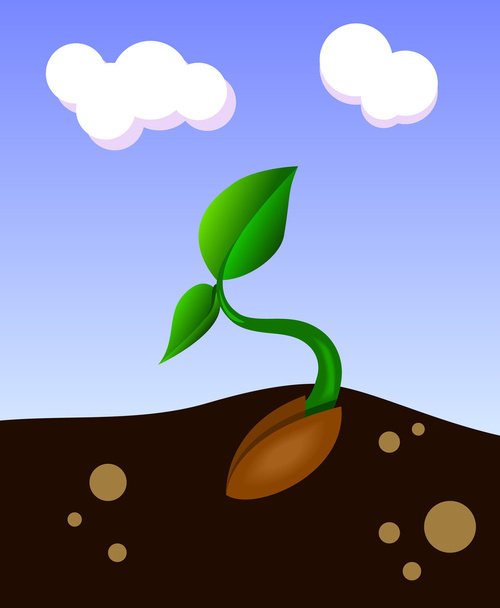 plant - Vector, afbeelding