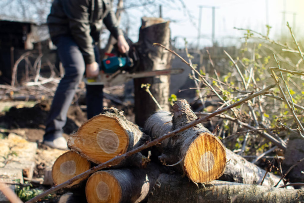 Ένας ξυλοκόπος πριονίζει ένα δέντρο με αλυσοπρίονο. Το πριονίδι πετιέται κατευθείαν στην οθόνη. Αγρότης στη δουλειά. Τρίβοντας παλιά δέντρα. Η έννοια της αποψίλωσης των δασών και η ενεργός εργασία του κλάδου - Φωτογραφία, εικόνα