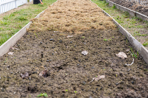 Een trendy technologie in de tuinbouw zoals het mulchen van bedden om de eigenschappen te behouden en de bodem te bemesten en onkruid te bestrijden. Recycling van natuurlijke hulpbronnen - Foto, afbeelding