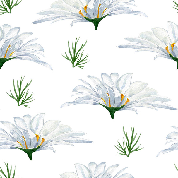 Shaggy daisies watercolor seamless pattern. Template for decorating designs and illustrations. - Фото, изображение