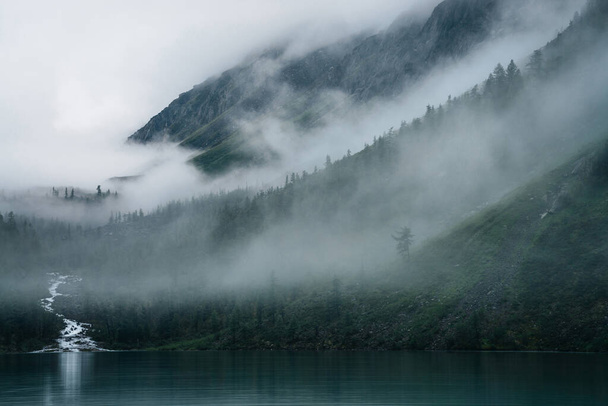 Висока струмка тече через ліс і впадає в гірське озеро. Грізний туманний краєвид з альпійським озером і темним лісом серед низьких хмар. Атмосферні ландшафти з хвойними деревами в густому тумані.. - Фото, зображення