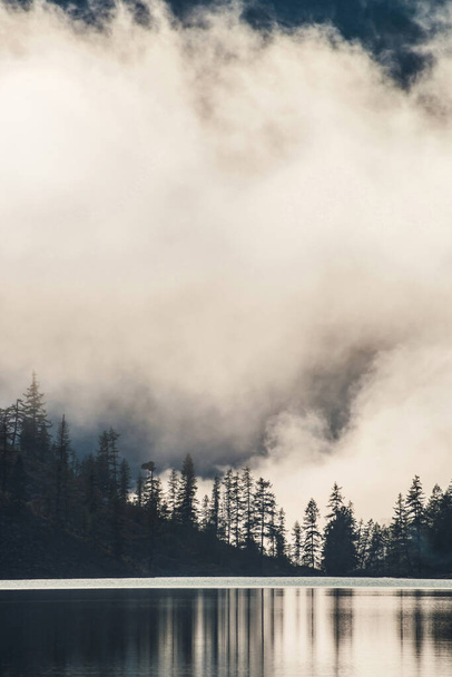 濃い霧の中で山の湖に沿って丘の中腹に小さな木の上のシルエット。高地の湖の穏やかな水に松の反射。早朝にアルパイン静かな風景。幽霊のような雰囲気の風景. - 写真・画像