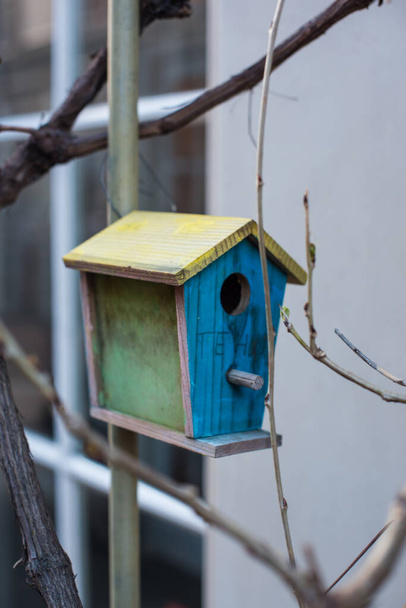birdhouse on a branch - Photo, Image