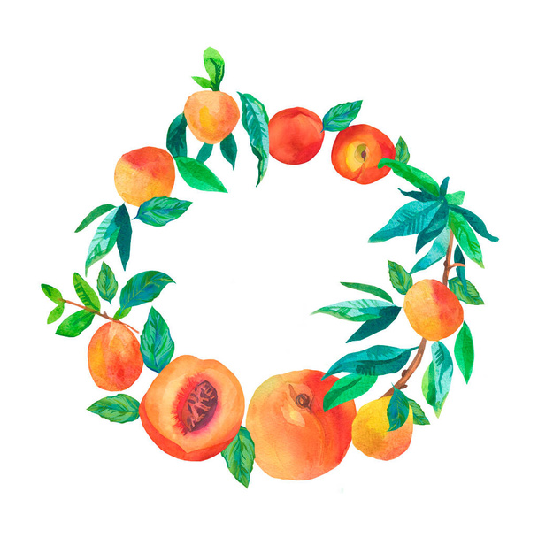 Aquarellkranz mit Pfirsichen. Sommer, botanischer Rahmen mit köstlichen Früchten in Orange auf weißem isolierten handbemalten Hintergrund. Designs für Verpackungen, Einladungen, Aufkleber, Postkarten, Web, Social Media. - Foto, Bild