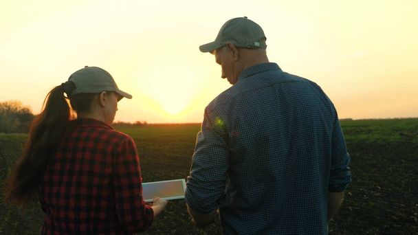 Весной фермеры с планшетом ходят по полю с зелеными побегами, обсуждают сбор урожая зерна, овощей. Молодая женщина-агроном с планшетным компьютером работает в команде с владельцем фермы. - Фото, изображение