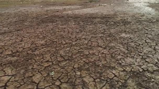 Arid land with cracks. Shot. Area with arid land in cracks without vegetation. Desert lands with dry land in cracks - Footage, Video