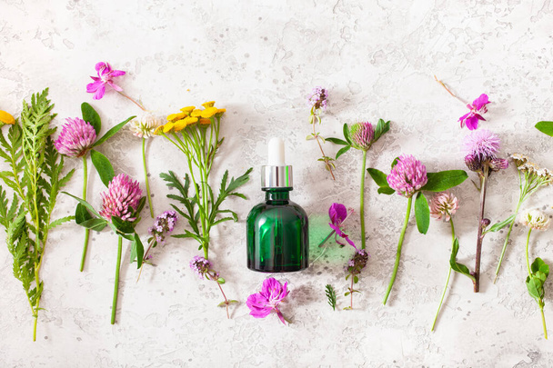 garrafa cosméticos cuidados da pele soro flores medicinais ervas. medicina alternativa. trevo milfoil tansy rosebay - Foto, Imagem