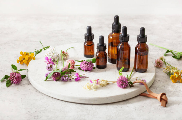 medical flowers herbs essential oils in bottles. alternative medicine. clover milfoil tansy rosebay - Photo, Image