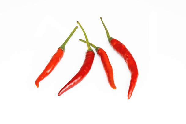 Peperoncino - Il peperone rosso isolato sfondo bianco - Foto, immagini