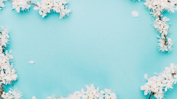 Fondo Sakura con flor y naturaleza floral de abril sobre azul. Hermosa escena con el árbol en flor. Día soleado de Pascua. Huerto abstracto fondo borroso. Primavera. - Foto, Imagen