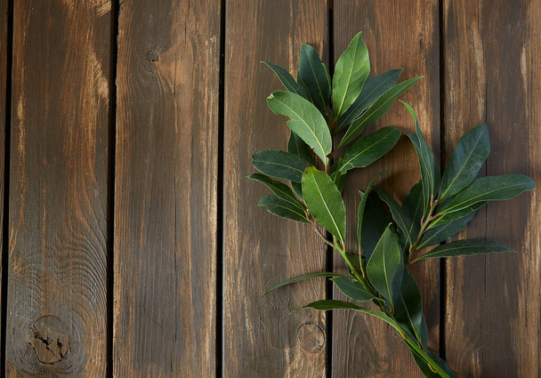 bay leaf twigs on brown wooden surface - Zdjęcie, obraz