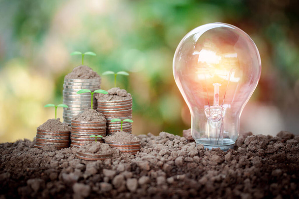 Light bulb with coin stacks and green plant on top, saving money, save energy concept put on the soil in soft green nature background. - Photo, Image