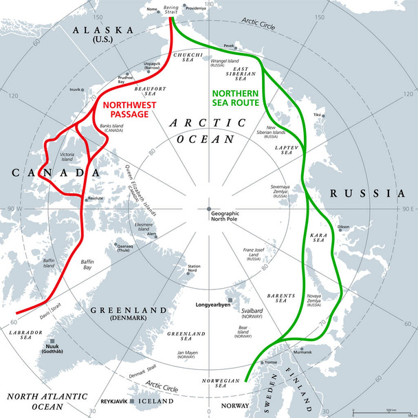 Kuzey Buz Denizi deniz yolları, gri politik haritalar. Kutup nakliye rotaları. Kuzeybatı Geçidi ve Kuzey Denizi Yolu. Kuzey Kutbu 'nda yol almak için gemiler tarafından kullanılan deniz yolları. İllüzyon. Vektör. - Vektör, Görsel