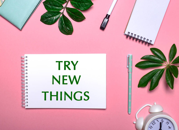 TRY NEW THINGS is written in green on a white notepad on a pink background surrounded by notepads, pens, white alarm clock and green leaves. Educational concept - Foto, afbeelding