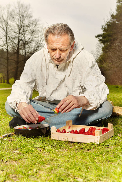 Natural older man in dirty white shirt preparing strawberry fruit lunch - Фото, изображение