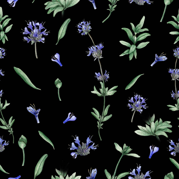 Watercolor seamless pattern of cleveland sage plant - Zdjęcie, obraz