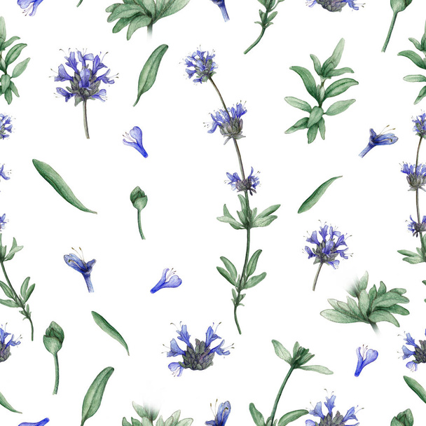 Watercolor seamless pattern of cleveland sage plant - Foto, Imagem