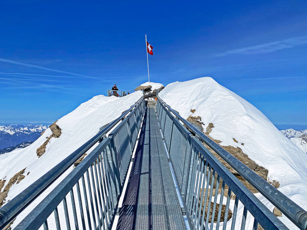 Peak walk sur le pont suspendu, Les Diabbesets - Canton of Vaud, Швейцария (Suisse)) - Фото, изображение