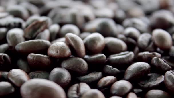 Kávová zrnka zblízka. Arabica pečená semínka. Černá tmavá kávová zrnka. Brazilská přísada k pití - Záběry, video