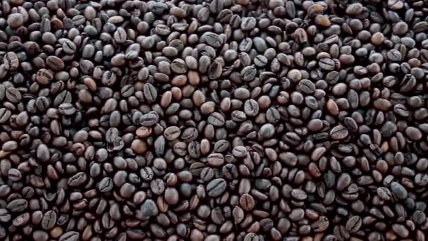 Kávová zrna shora dolů záběr zblízka. Arabica pečená semínka. Černá tmavá kávová zrnka. Brazilská přísada k pití - Záběry, video