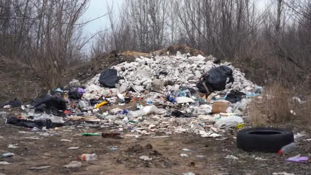 una montagna di spazzatura sulla strada nel bosco - Filmati, video