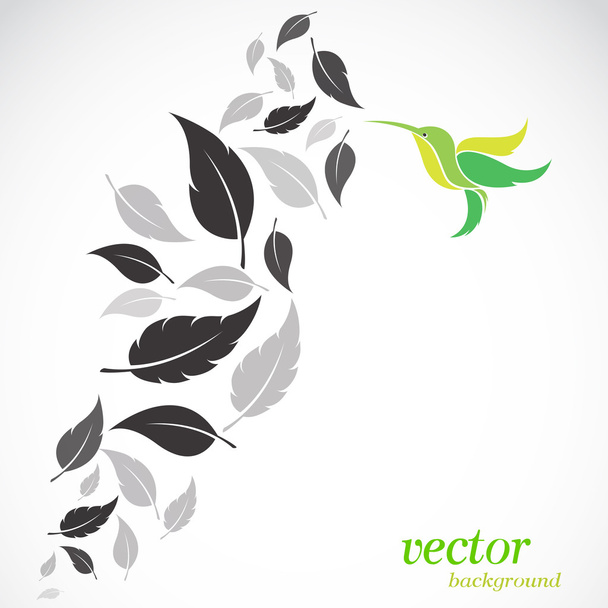 Hojas y colibríes abstractos
  - Vector, Imagen