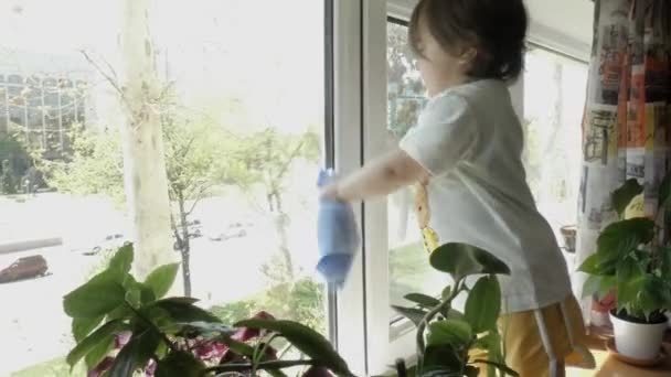 小さな子供が窓ガラスをラグで拭き取る. - 映像、動画