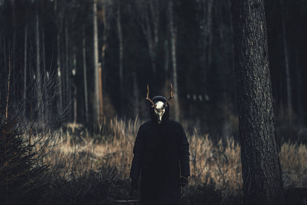 A person wearing a creepy Taxidermy mask in an autumn forest - 写真・画像