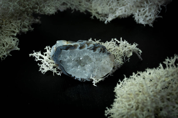 Chalcedony Geode Brazíliából. Természetes ásványi kő, fekete háttérrel, mohával körülvéve. Ásványtan, geológia, mágia, féldrágakövek és ásványminták. Közelkép makró fotó. - Fotó, kép