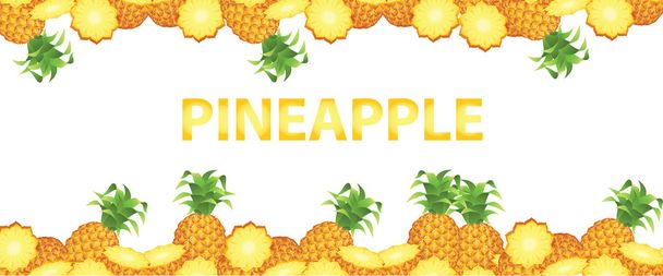 Pineapple banner - Vector, Image